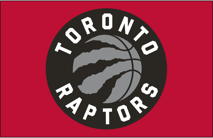 Toronto Raptors 2015-Pres Primary Dark Logo fabric transfer